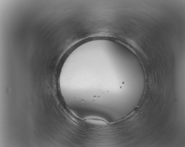 X0000059831356200511041735