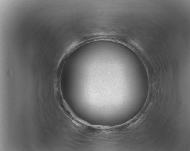 X0000059831357200511041735