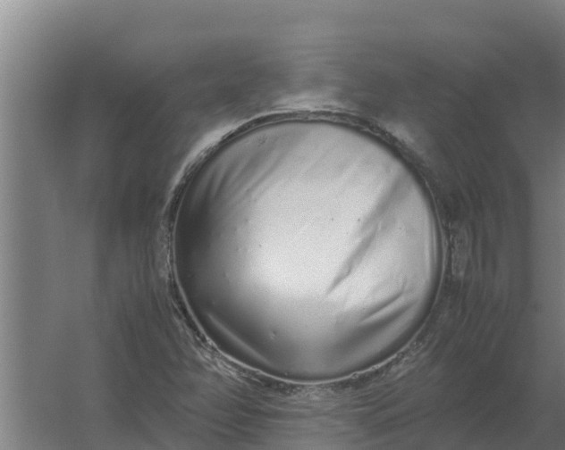 X0000059831358200511041735