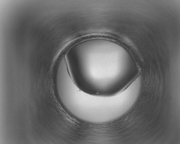 X0000059831360200511041735