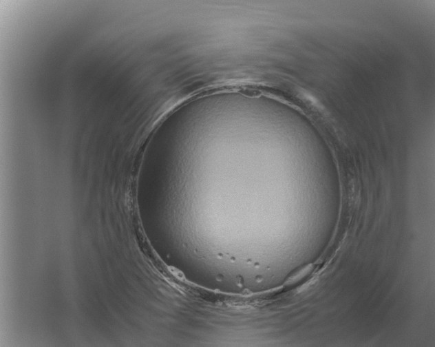 X0000059831361200511041735