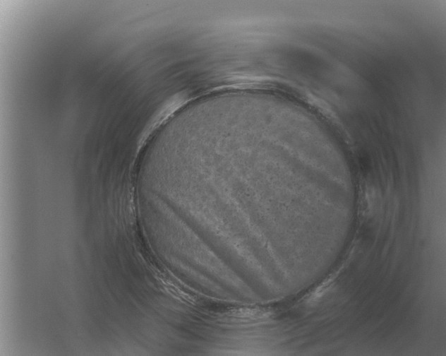 X0000059831362200511041735