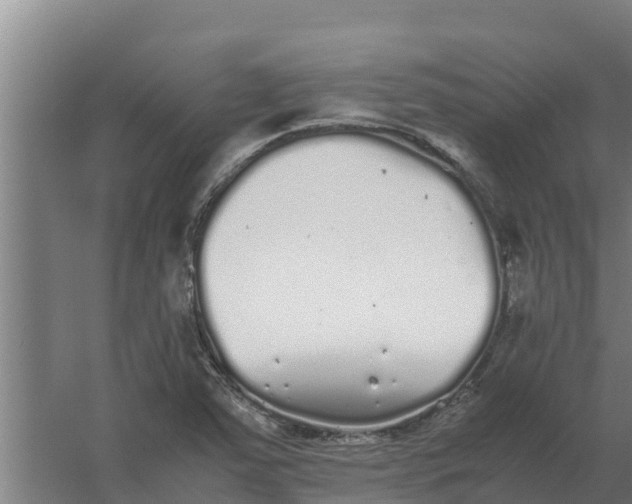 X0000059831363200511041735