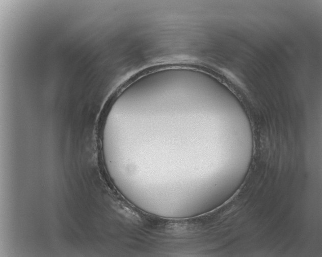 X0000059831364200511041735