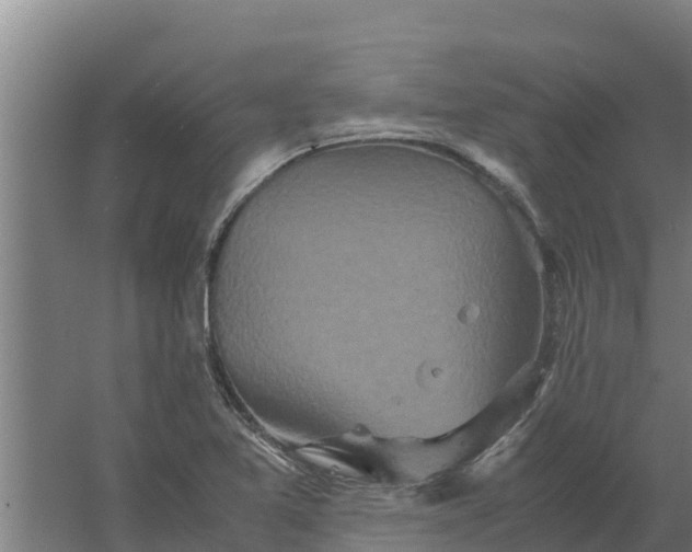 X0000059831365200511041735