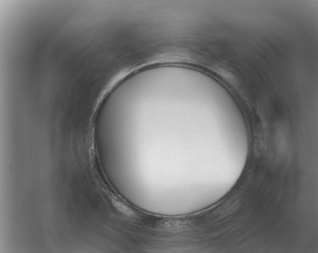 X0000059831366200511041735