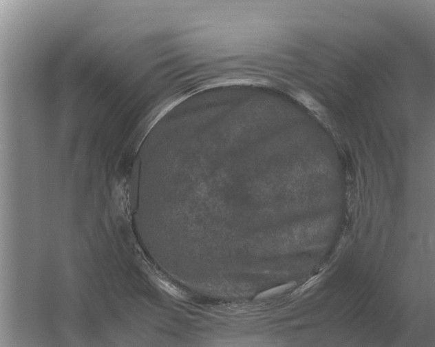 X0000059831369200511041735