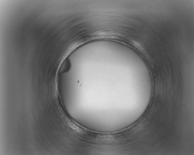 X0000059831370200511041735