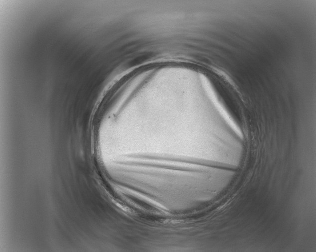 X0000059831371200511041734