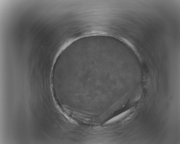 X0000059831373200511041734