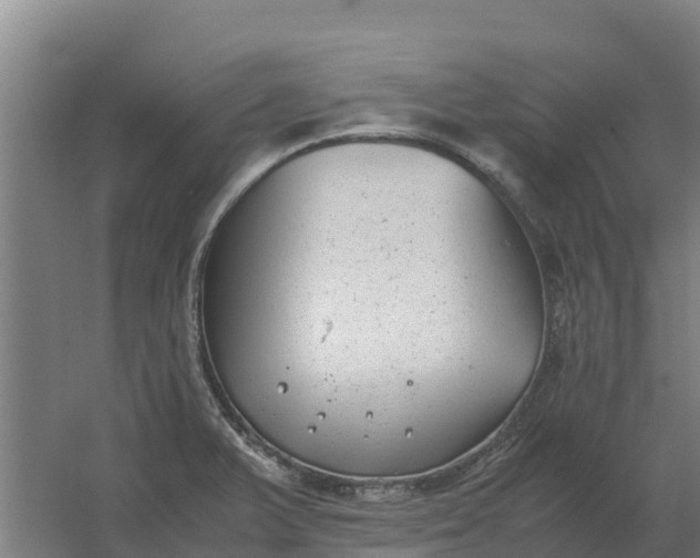 X0000059831375200511041734