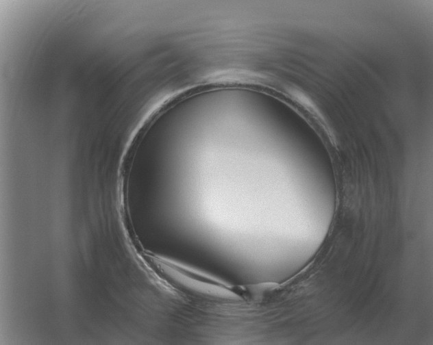 X0000059831376200511041734