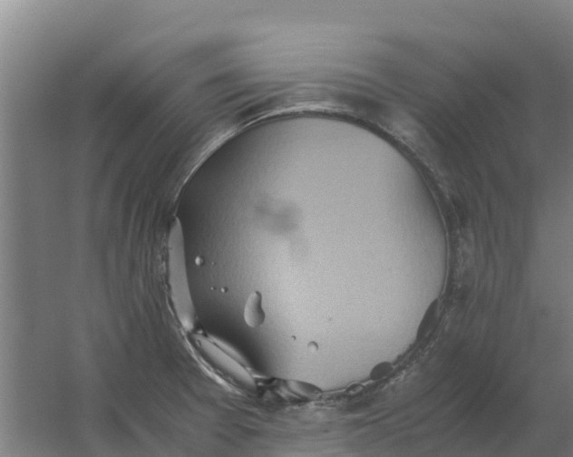 X0000059831377200511041734