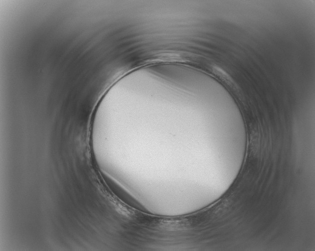 X0000059831378200511041734