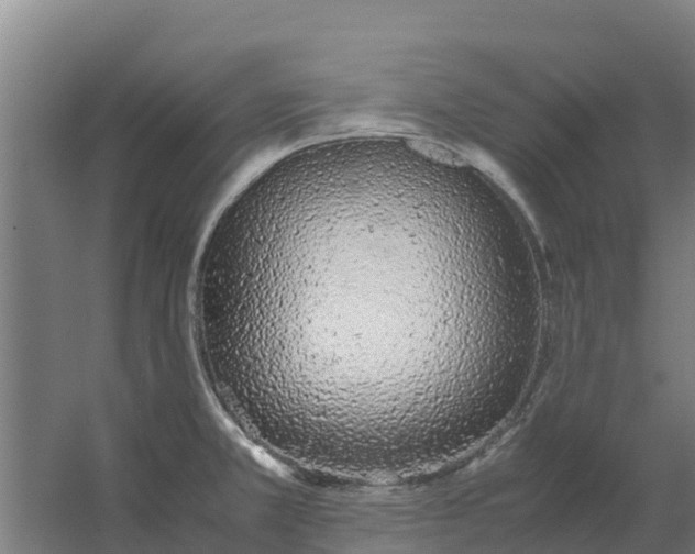 X0000059831381200511041734