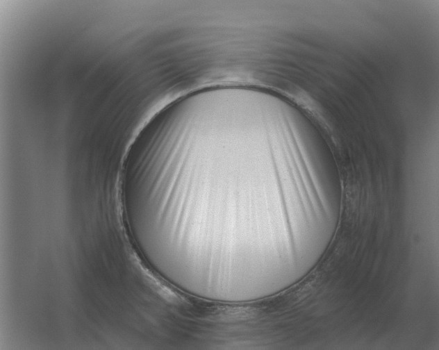 X0000059831382200511041734