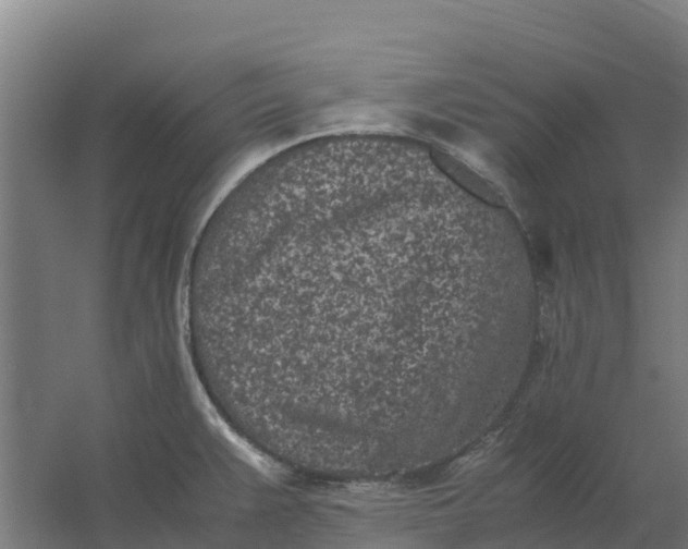 X0000059831383200511041734