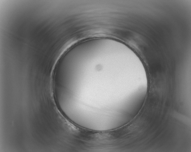 X0000059831384200511041734