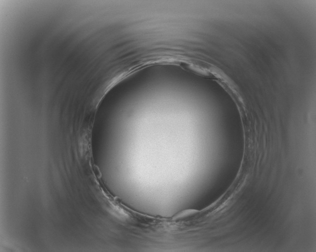 X0000059831385200511041734