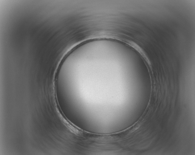 X0000059831388200511041734