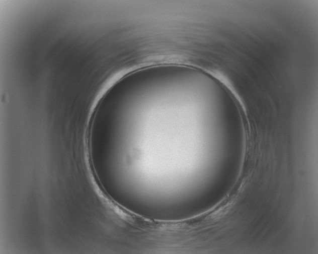 X0000059831389200511041734