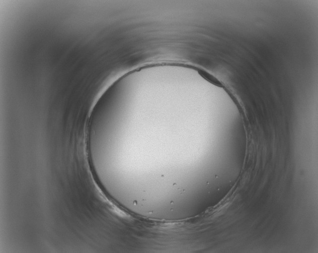 X0000059831390200511041734