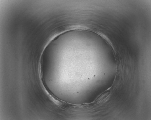 X0000059831391200511041734