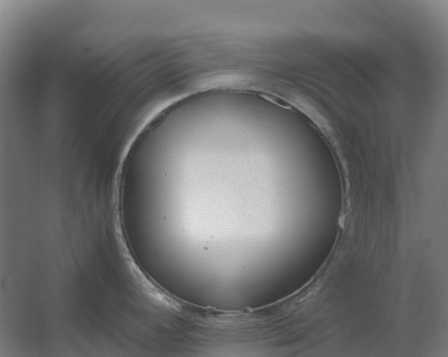 X0000059831392200511041734