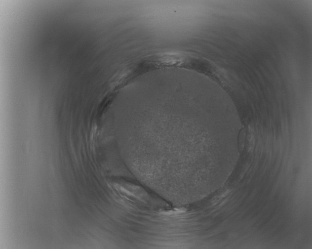 X0000059831394200511041733