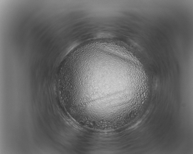 X0000059831401200511041733