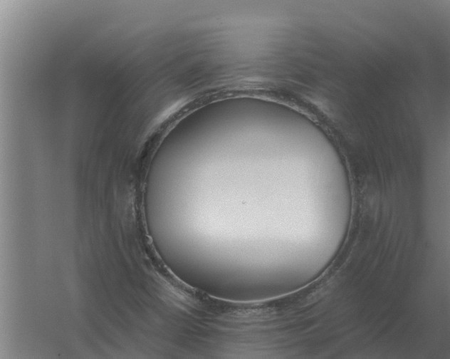 X0000059831402200511041733