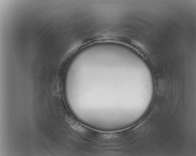 X0000059831403200511041733