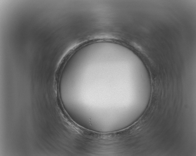 X0000059831408200511041734