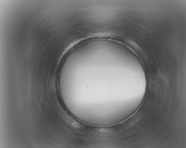 X0000059831412200511041734