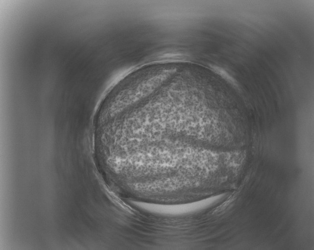 X0000059831413200511041734