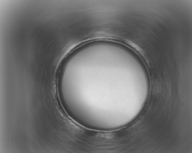 X0000059831415200511041734