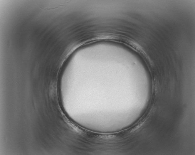 X0000059831417200511041734