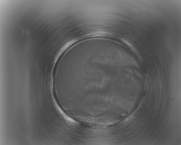 X0000059831418200511041734