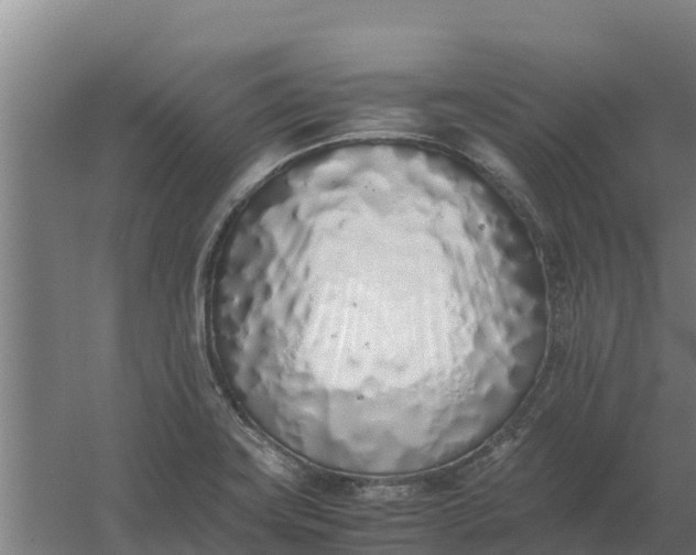 X0000059831419200511041734