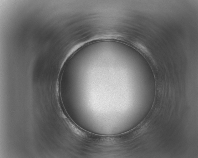 X0000059831420200511041734