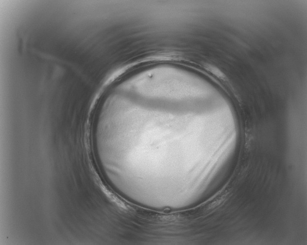 X0000059831421200511041734