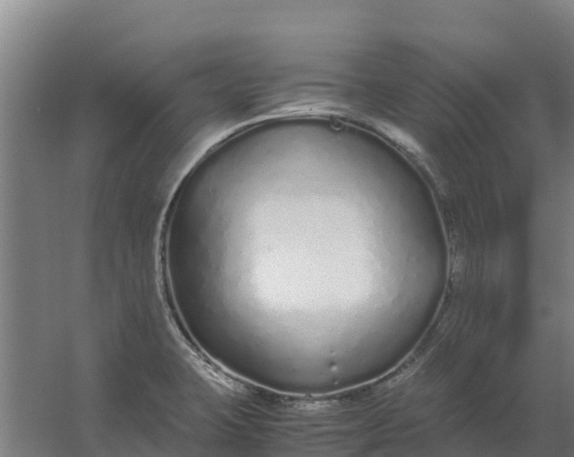 X0000059831423200511041734