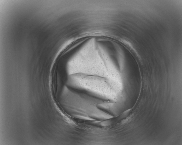 X0000059831424200511041734