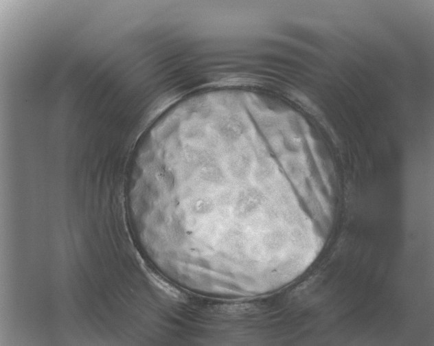 X0000059831425200511041734