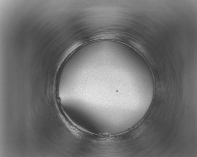 X0000059831426200511041734