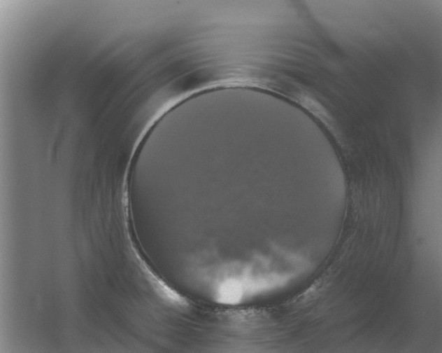 X0000059831428200511041734