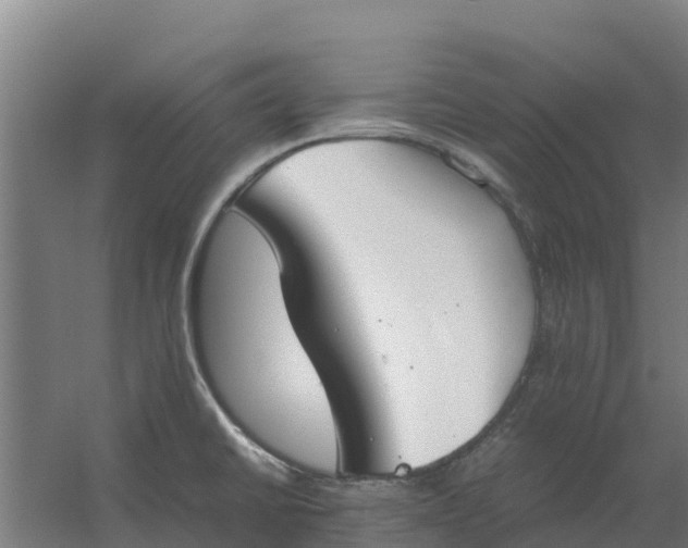 X0000059831430200511041734