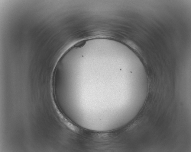 X0000059831431200511041734