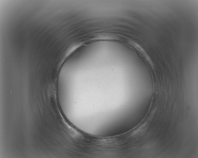 X0000059831433200511041734