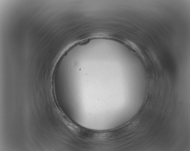 X0000059831435200511041734